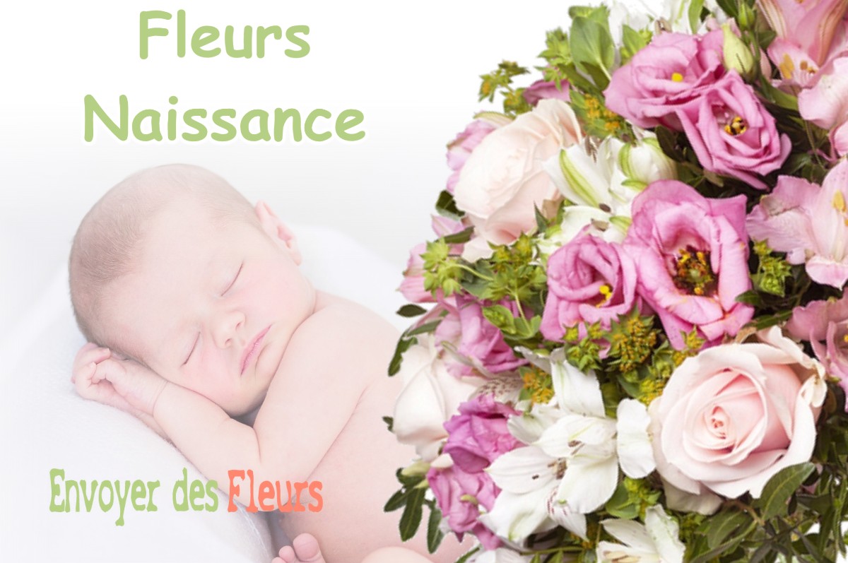 lIVRAISON FLEURS NAISSANCE à AUREILLE